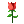 🌹